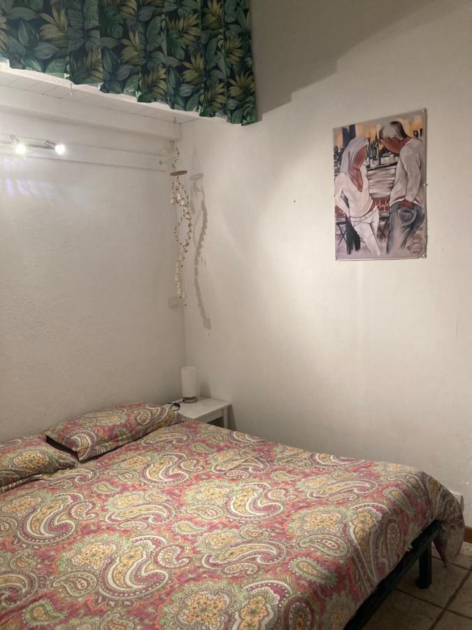La Coccinelle Bed & Breakfast Nimes Exterior photo